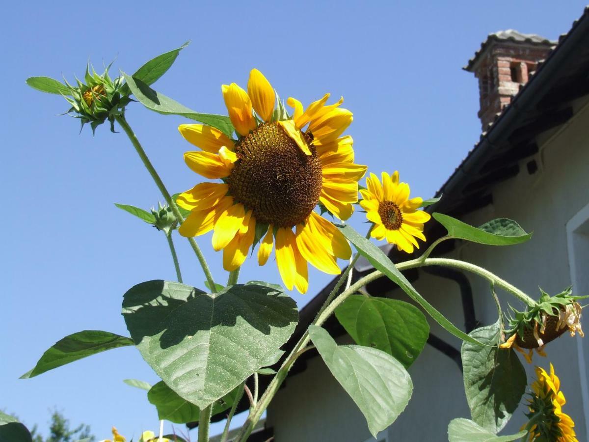 La Meridiana, Monolocale In Cascina Ristrutturata Boves Екстер'єр фото
