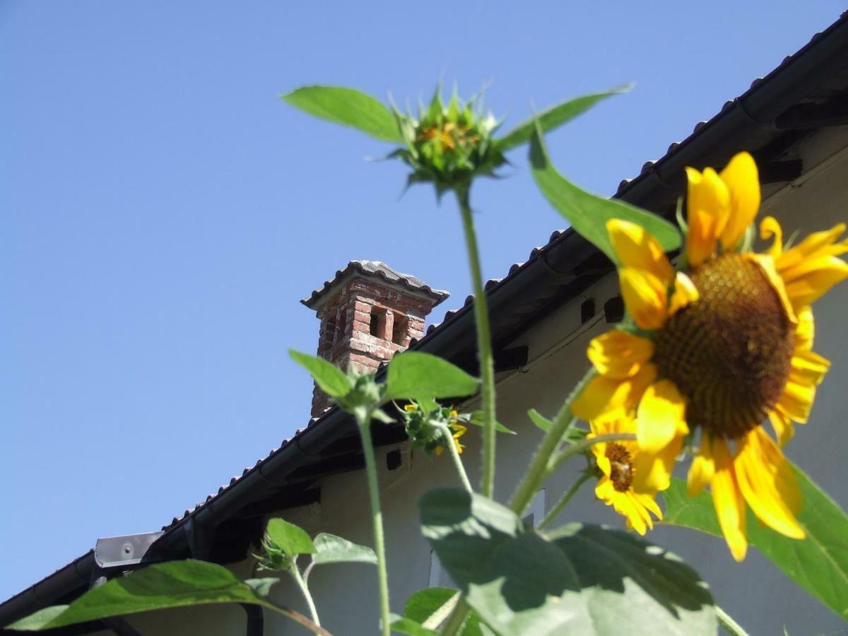 La Meridiana, Monolocale In Cascina Ristrutturata Boves Екстер'єр фото